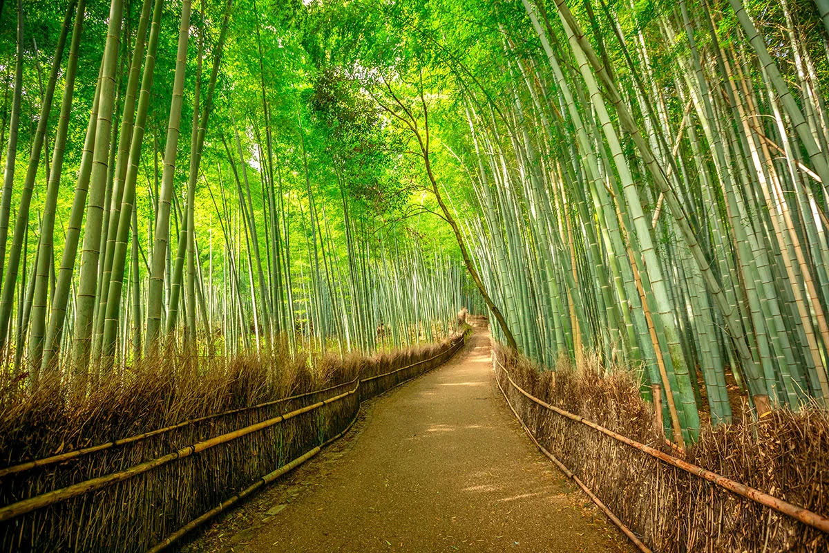 Kyoto