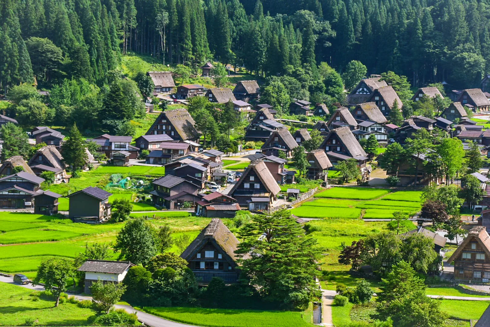Shirakawa Go
