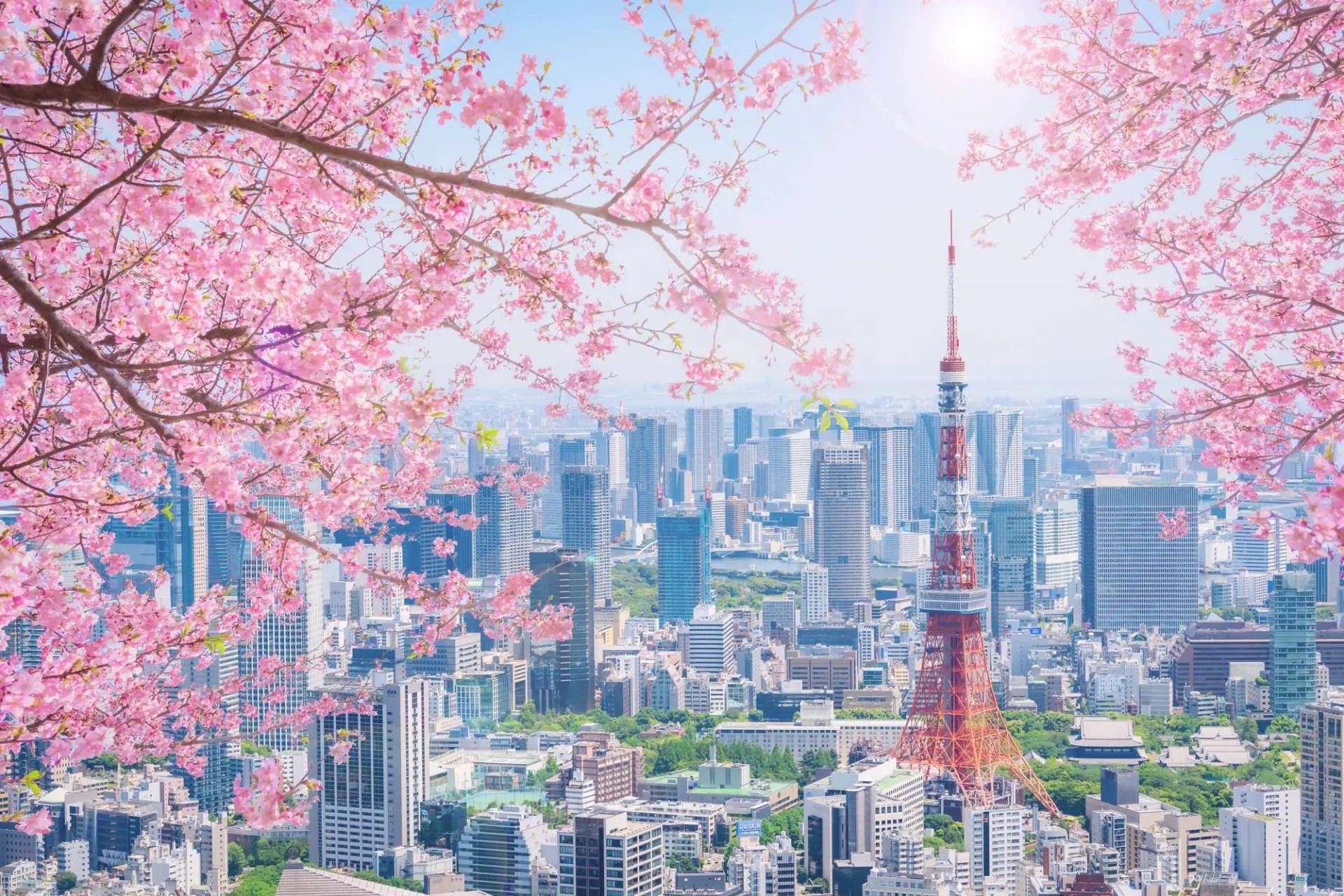 Tokyo